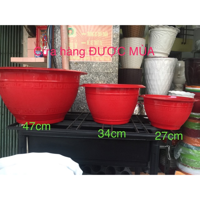 Combo 2 chậu trồng cây đường kính 27cm