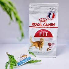 Thức ăn cho mèo Royal Canin Fit 32 gói 400g