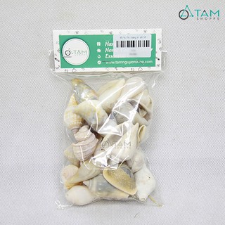 Bịch 200gr vỏ ốc biển trang trí VOOC-03