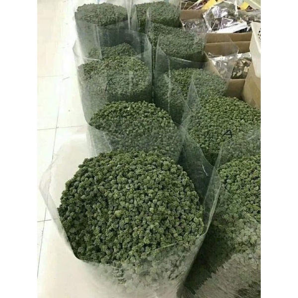 Nụ hoa tam thất chuẩn