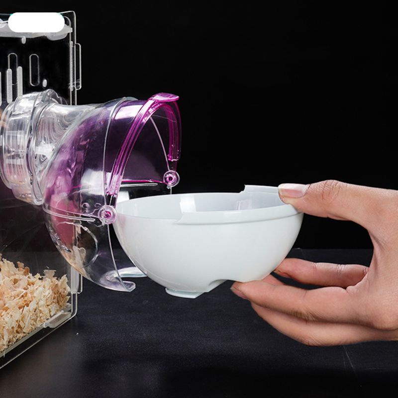 Lồng Cát Đi Vệ Sinh Cho Chuột Hamster