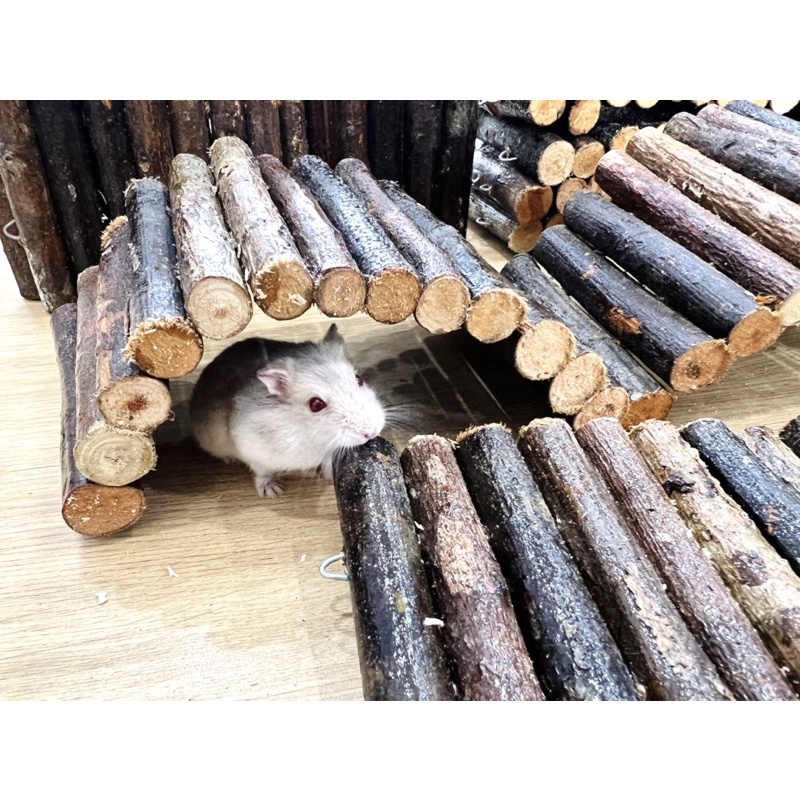 Thang gổ uốn làm hầm trú ẩn cho hamster