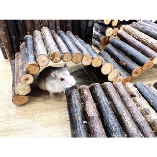 Thang gổ uốn làm hầm trú ẩn cho hamster