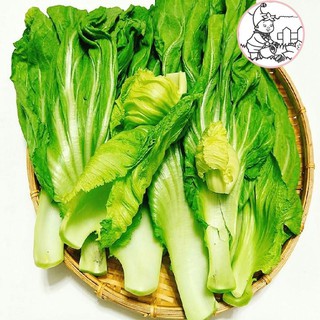 HẠT CẢI BẸ DƯA (TÒA XẠI) - GÓI 10 GRAM