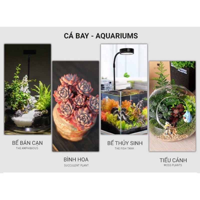 Đèn Led Thuỷ Sinh Đế Gỗ Cho Bể Cá, Terrarium - Ánh Sáng Trắng - Ánh Sáng Vàng