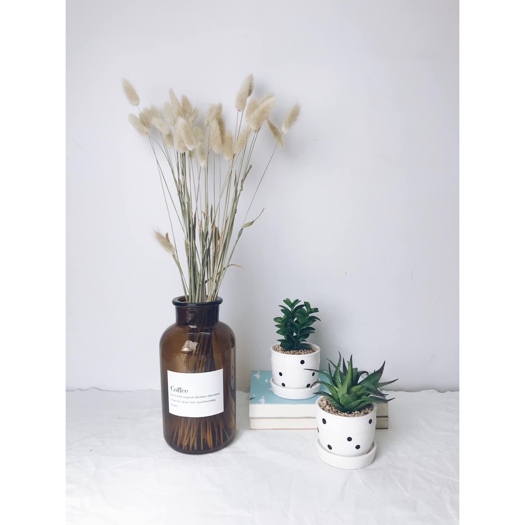 Bình bông lọ hoa thủy tinh Basic NÂU Bắc Âu trang trí nhà cửa, phòng khách có tag riêng