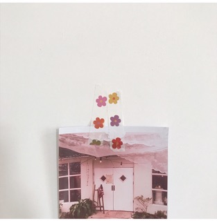 Sticker gấu