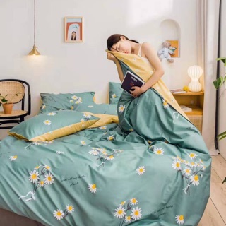 Bộ Drap & Chăn Phao Cotton Poly Cúc Hoạ Mi