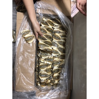 Cá chỉ vàng loại 1 nghệ an 500gr