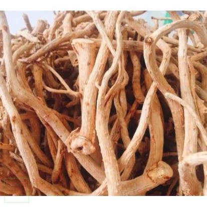 1kg rễ đinh lăng nếp khô  hàng loại 1