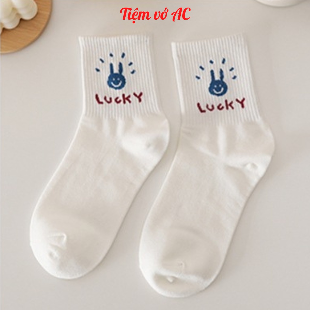 Tất cổ cao sét 10 đôi, vớ cao cổ hoạ tiết gấu - T02