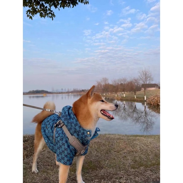 ÁO KHOÁC THE DOG FACE x GUCCl dành cho chó mèo