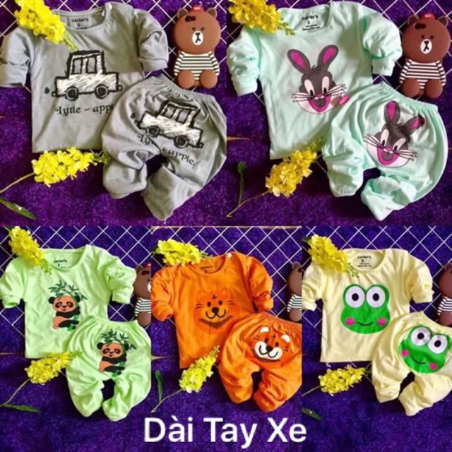 Set bộ cotton 