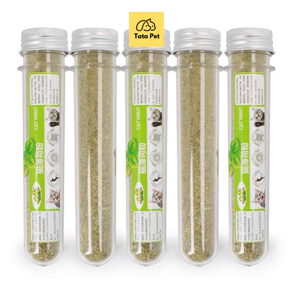 Bạc hà mèo, cỏ bạc hà Catmint/Catnip cho mèo - Ống TATAPET