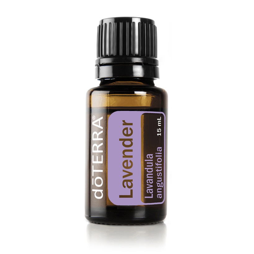 Tinh dầu Lavender - Tinh dầu Oải hương - giải tỏa căng thẳng