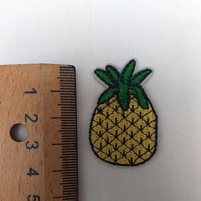 Hình ủi và hình may kim sa