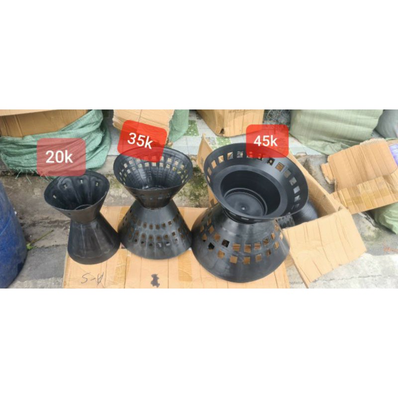 cốt xòe cắm hoa từ 50_200 bông