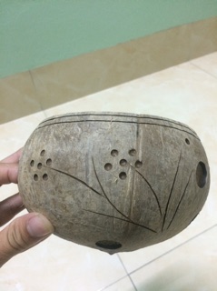 Chậu gáo dừa nghệ thuật