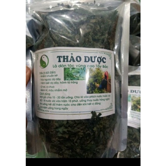 Lá đắng chuẩn rừng tây bắc