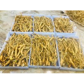 COMBO 0,5kg sâm Hàn Quốc loại nhỏ dung trong chế biến loại 25-30 củ