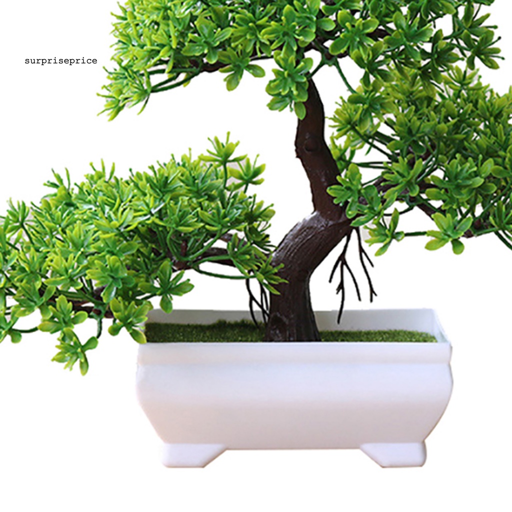 Chậu Cây Bonsai Giả Trang Trí
