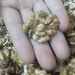 Óc chó bóc vỏ