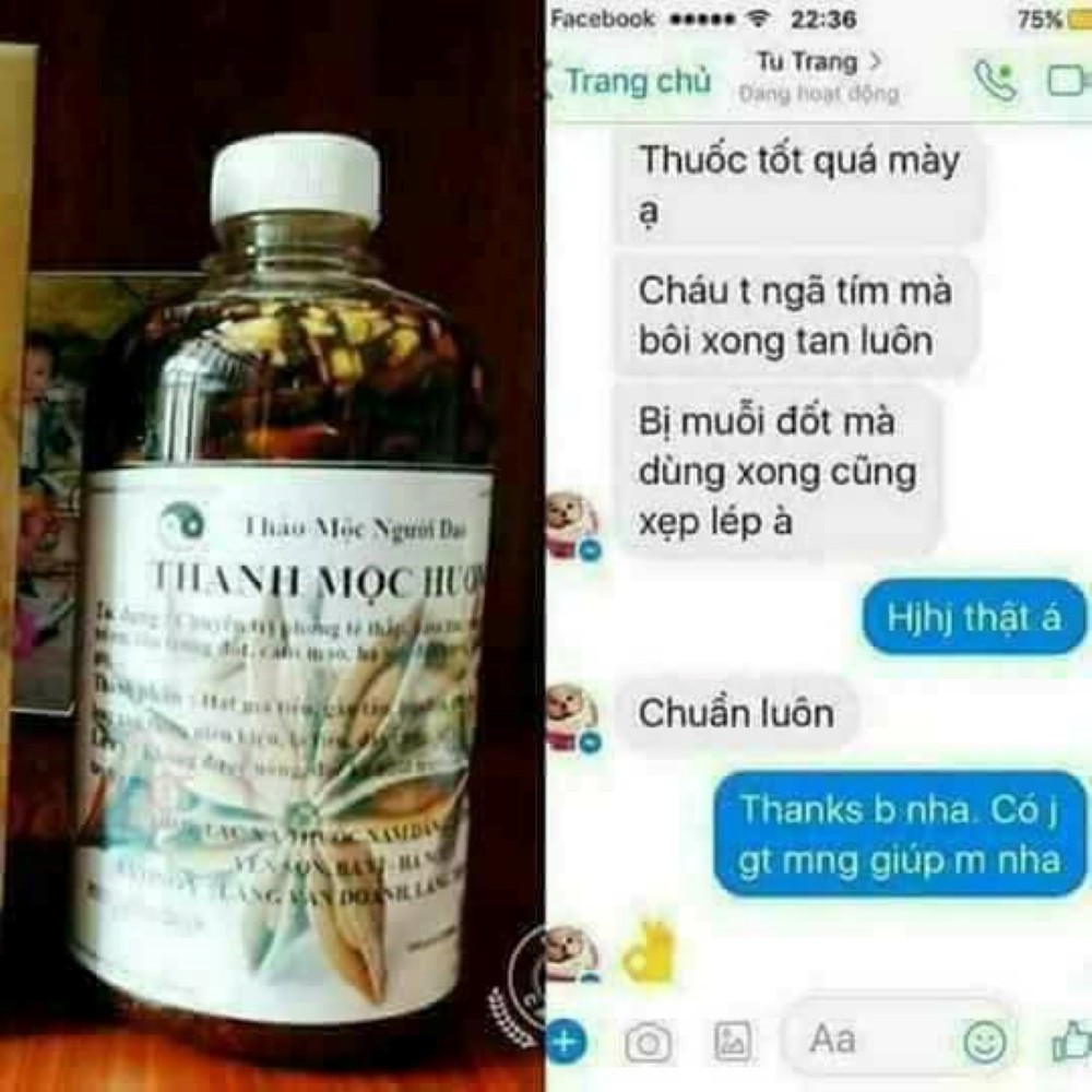 Thảo Dược Xoa Bóp Xương Khớp Người Dao THANH MỘC HƯƠNG 500ml Chính Hãng