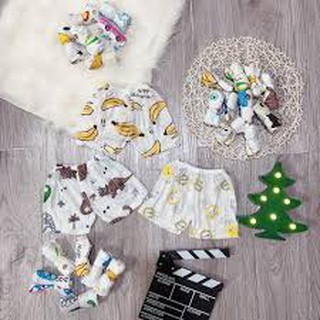 Quần chục đùi cotton giấy- 1016