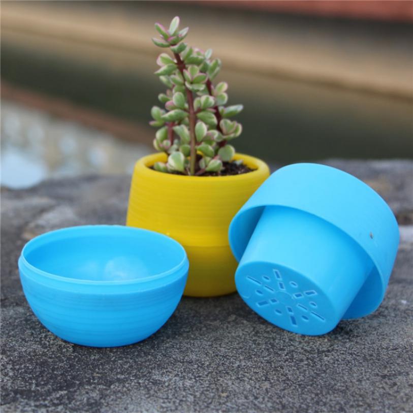 AFON Chậu mini cây chất liệu nhựa