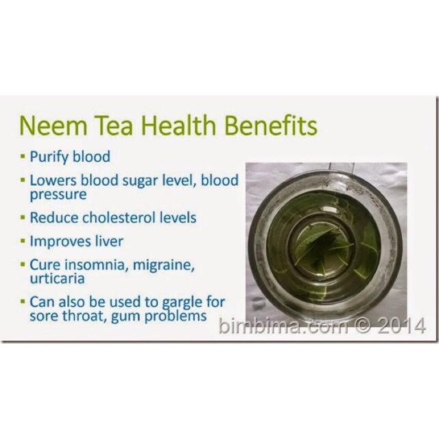 Trà lá Neem Ấn Độ