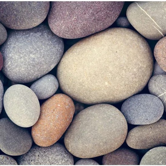 Đá Kì Tắm Tự Nhiên Dài Kỳ Lưng Dài, Đá khô Cuội Tắm Tẩy Da Chết | BigBuy360 - bigbuy360.vn