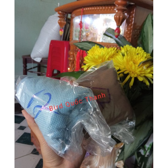 Áo lồng cho chim đủ loại