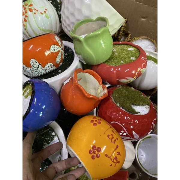 Chậu sứ cắm hoa, cây cảnh mini nhiều mẫu giá thanh lí