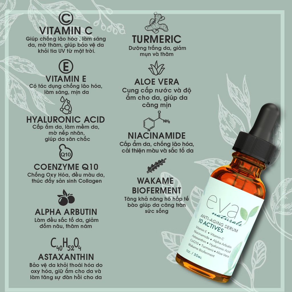 Serum 10 Dưỡng Chất Chống Lão Hóa, Làm Trẻ Làn Da Eva Naturals Anti Aging 10 Actives Serum 30ml | BigBuy360 - bigbuy360.vn