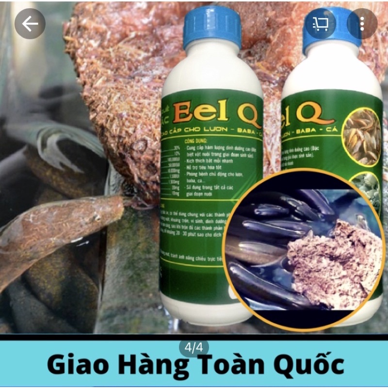 Dịch trùn quế Eel Q cho lươn
