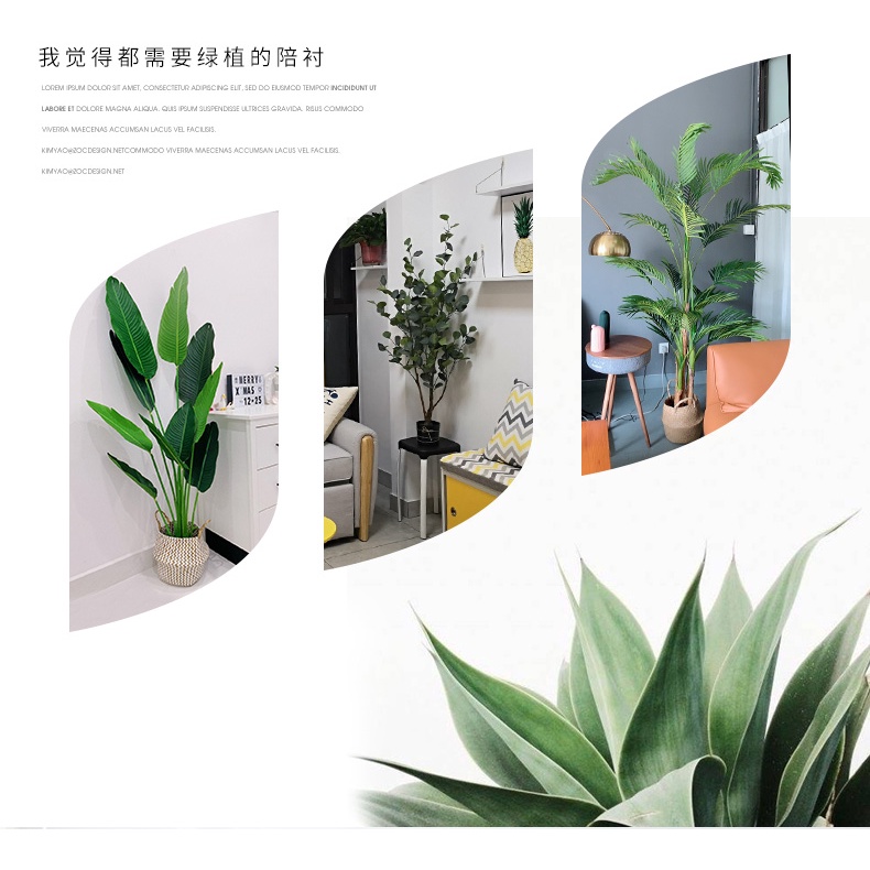 Bắc Âu cây cảnh trong nhà trang trí phòng khách - Cây giả trong chậu cây xanh cây trang trí