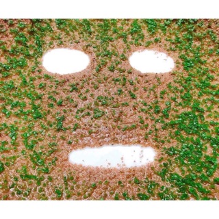 MASK HẠT TẢO BIỂN LÊN CÂY |HOTSALE CỰC SỐC|