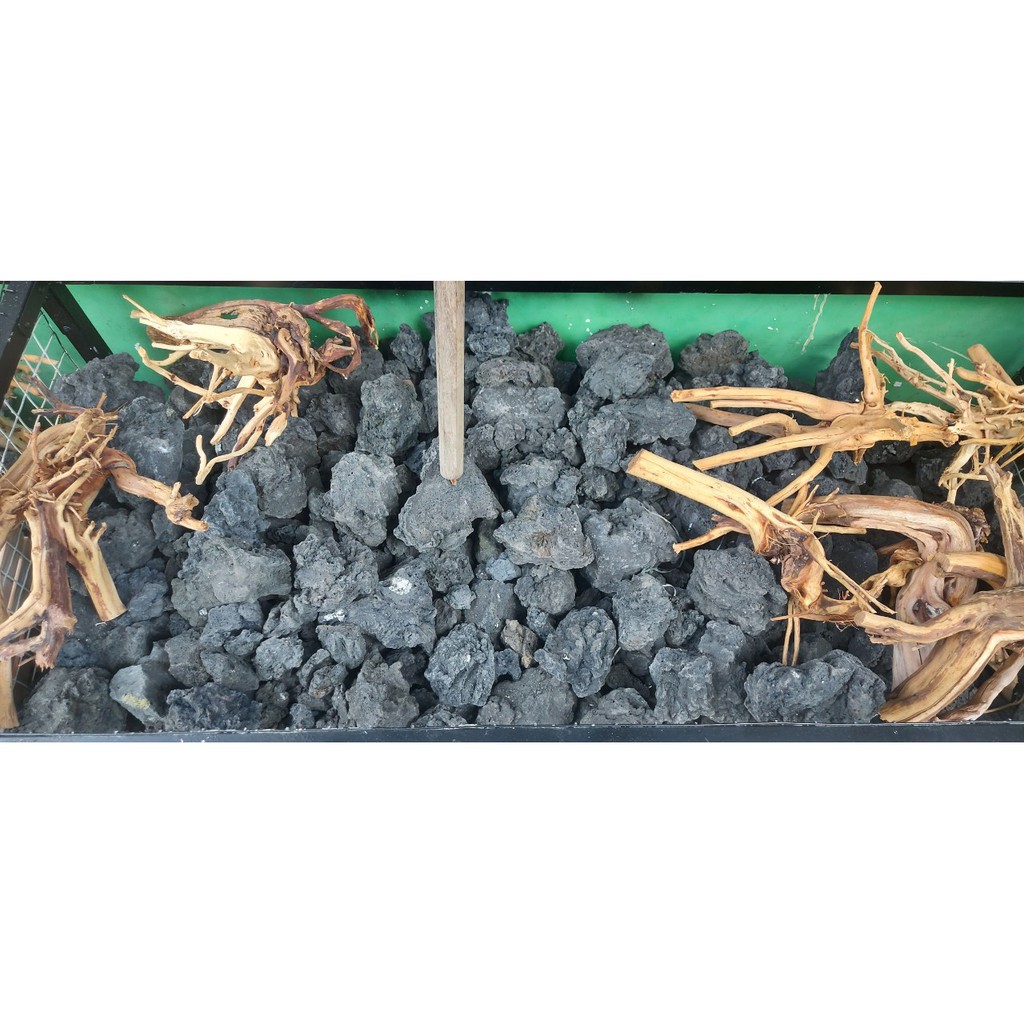 Đá đen Gia Lai  - Setup Bể Thuỷ Sinh hàng Đẹp Siêu Vân đủ Size