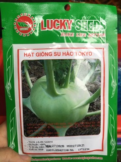 Hạt giống su hào