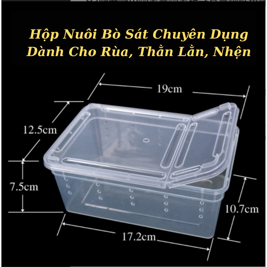Hộp Nuôi Bò Sát Chuyên Dụng Dành Cho Rùa, Nhện, Thằn Lằn Bằng Nhựa Trong Cao Cấp Phù Hợp Với Nhiều Loại Bò Sát