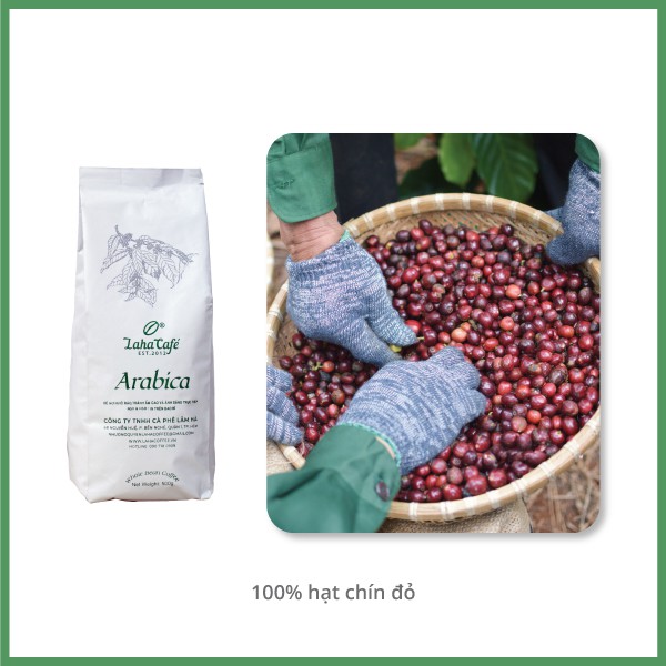 Cà phê Arabica Cầu Đất gói 500g, nguyên chất phù hợp pha Cold Brew, Pour Over, Specialty từ Laha Cafe | BigBuy360 - bigbuy360.vn