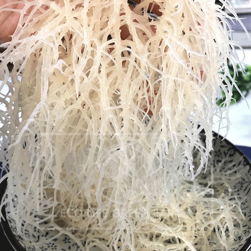 Rong sụn biển thiên nhiên Nha Trang trắng khô ☘Gói 100 gr, 200 gr, 500 gr