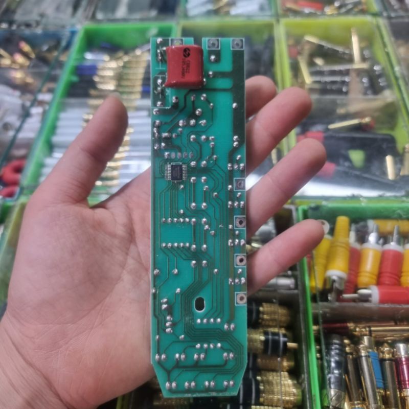 Bo Quạt Cây SenKo - Giá 1 Bo