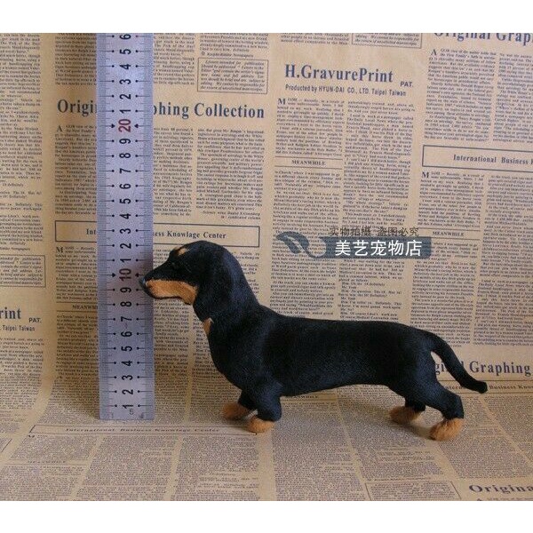 Đồ chơi nhồi bông hình chú chó Dachshund V4H5