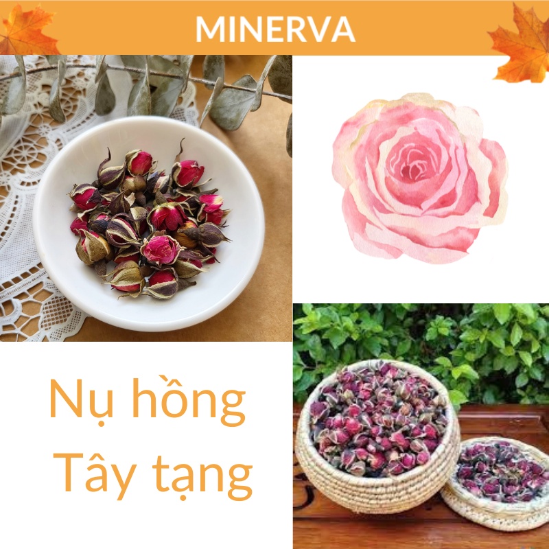 Set hoa lá xông nhà Lavender - lá Bạch đàn - Nụ hồng tây tạng hương thơm tự nhiên, thanh tẩy, thư giãn