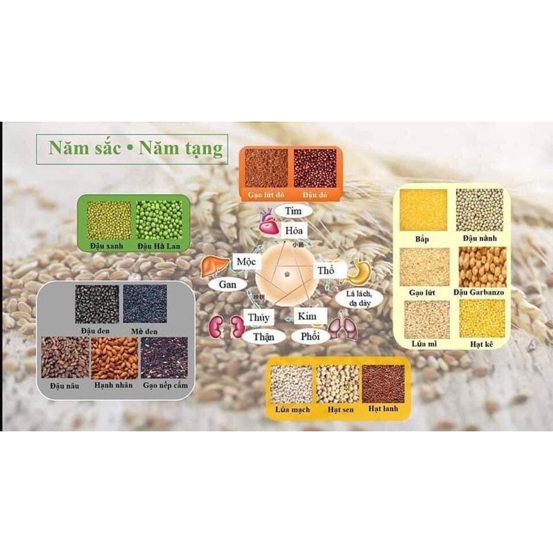 XPOWER SỮA HẠT DINH DƯỠNG