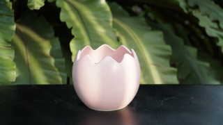 Chậu trứng 11x11cm - Vườn sen đá