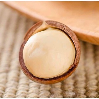 Hạt Macca Tây Nguyên (Hộp 500g)