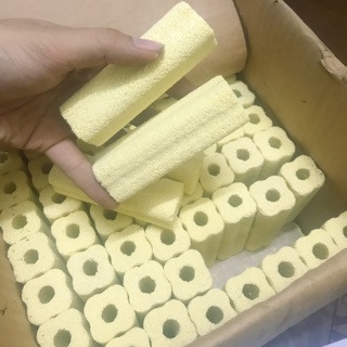 Sứ Thanh Hoa Mai Keyrsin 10x3x3cm