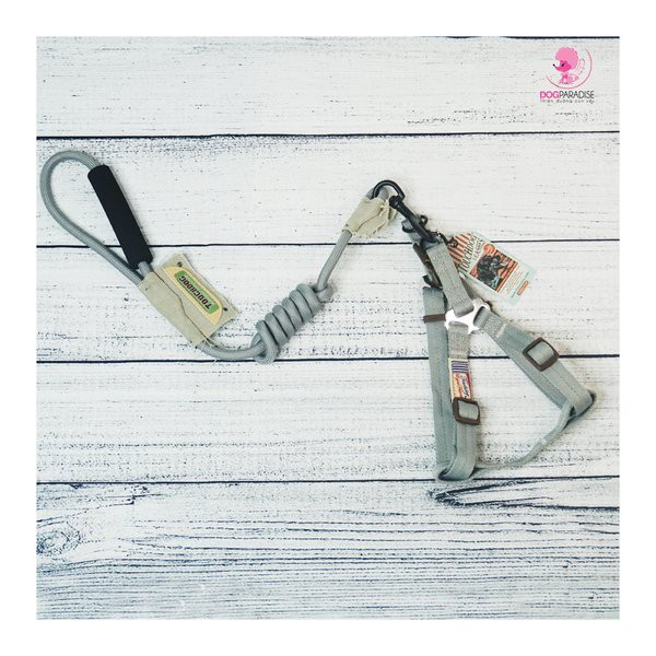 Bộ dây dẫn vòng yếm chó mèo siêu chắc TOUCHDOG - Màu Xám